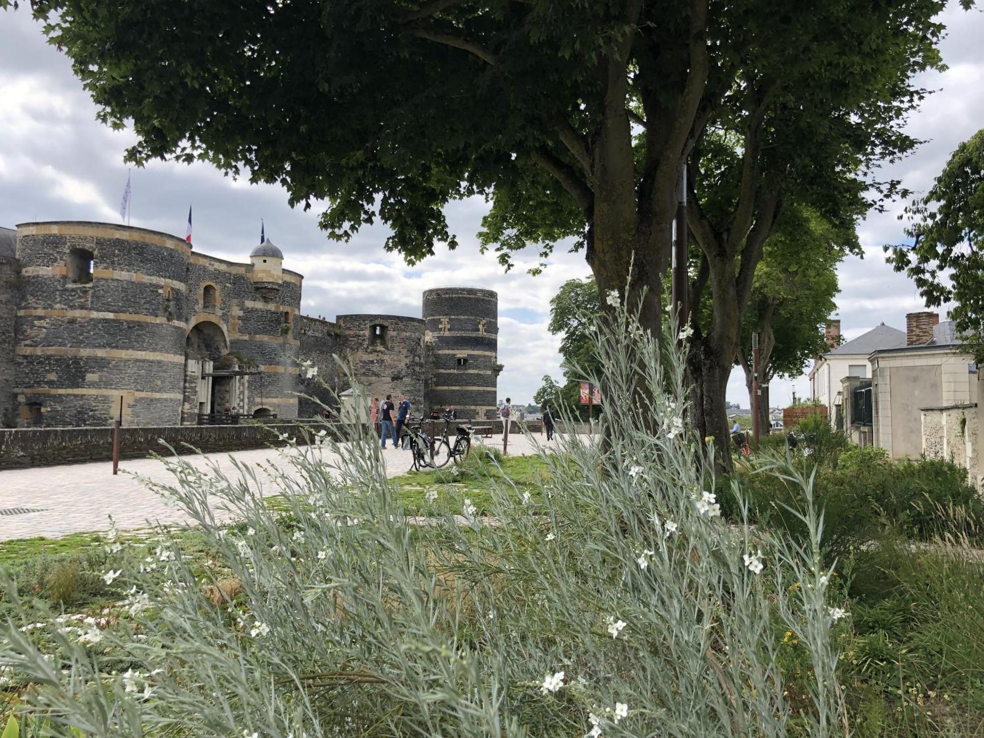 Maison Bout Du Monde Angers Hyper Centre المظهر الخارجي الصورة